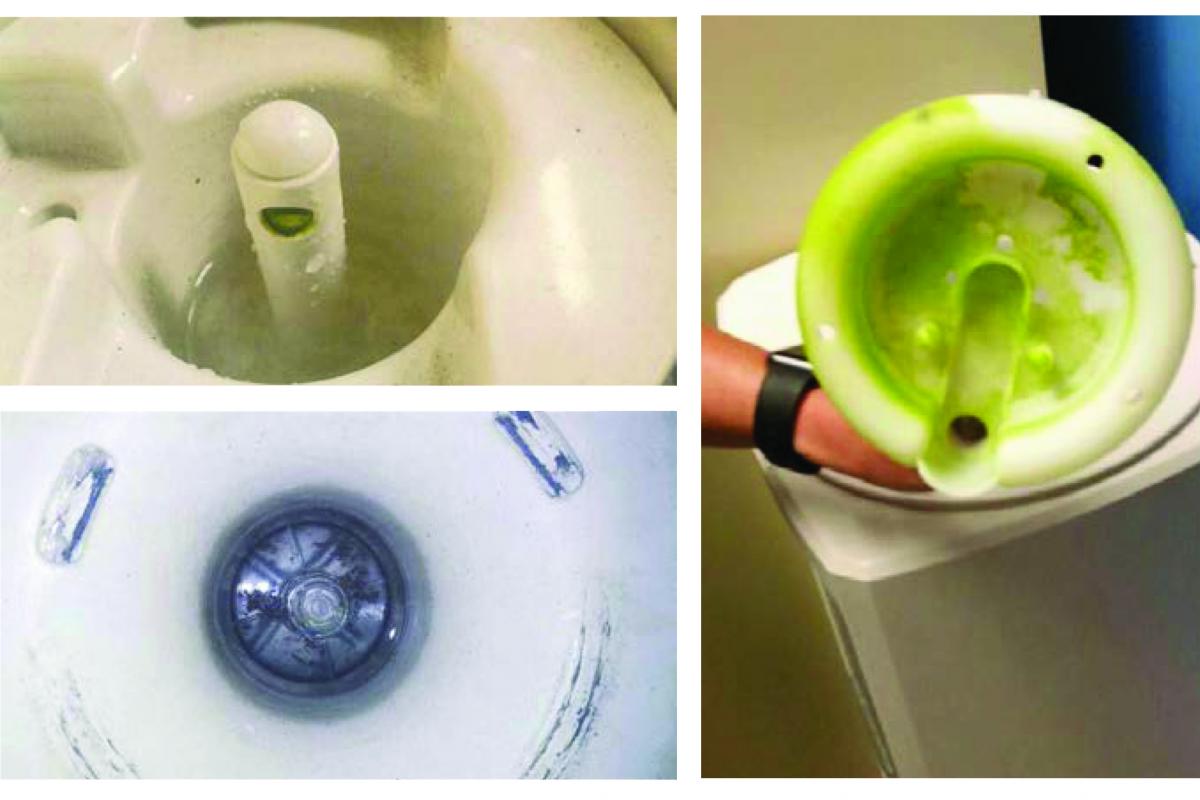 Is your water cooler being sanitized every 6090 days?